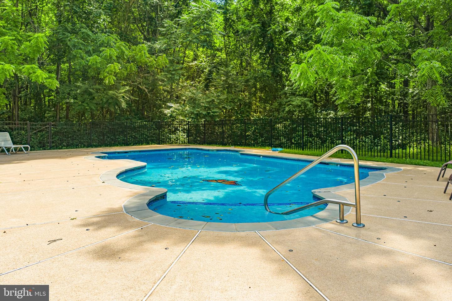 12041 Mitcheltree photo 72