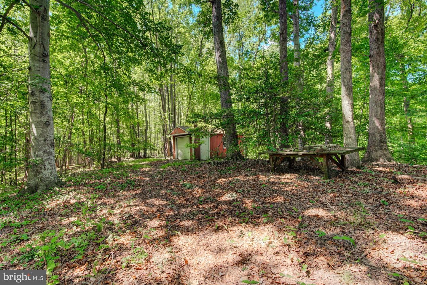 6144 Saint Pauls Road photo 7