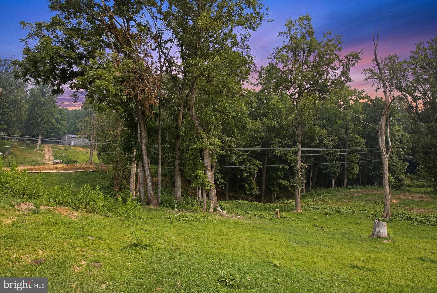 2137 Belvedere Drive photo 50