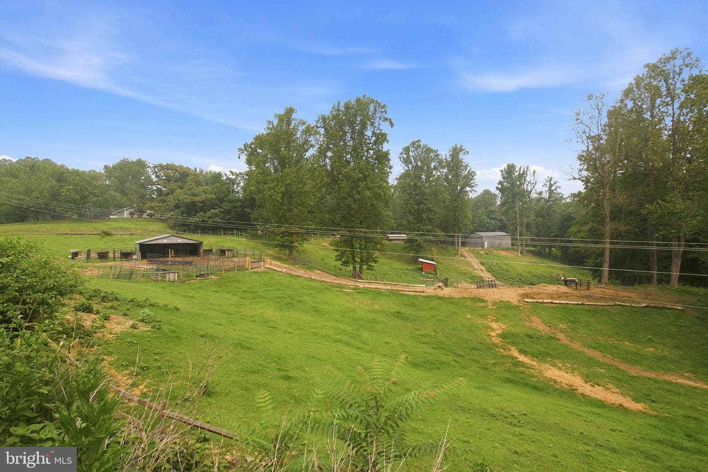 2137 Belvedere Drive photo 69