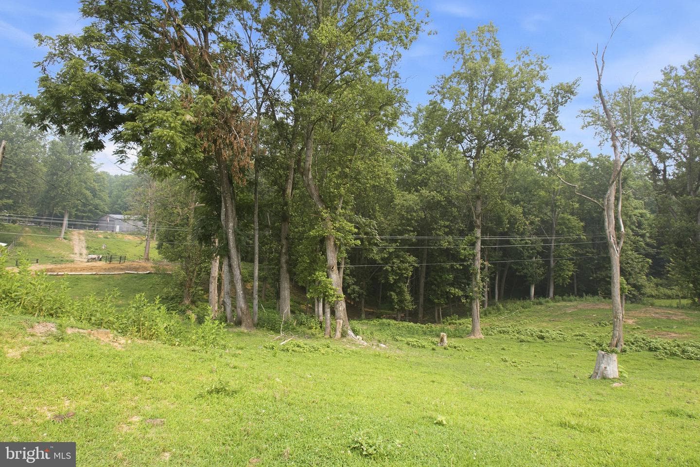 2137 Belvedere Drive photo 74