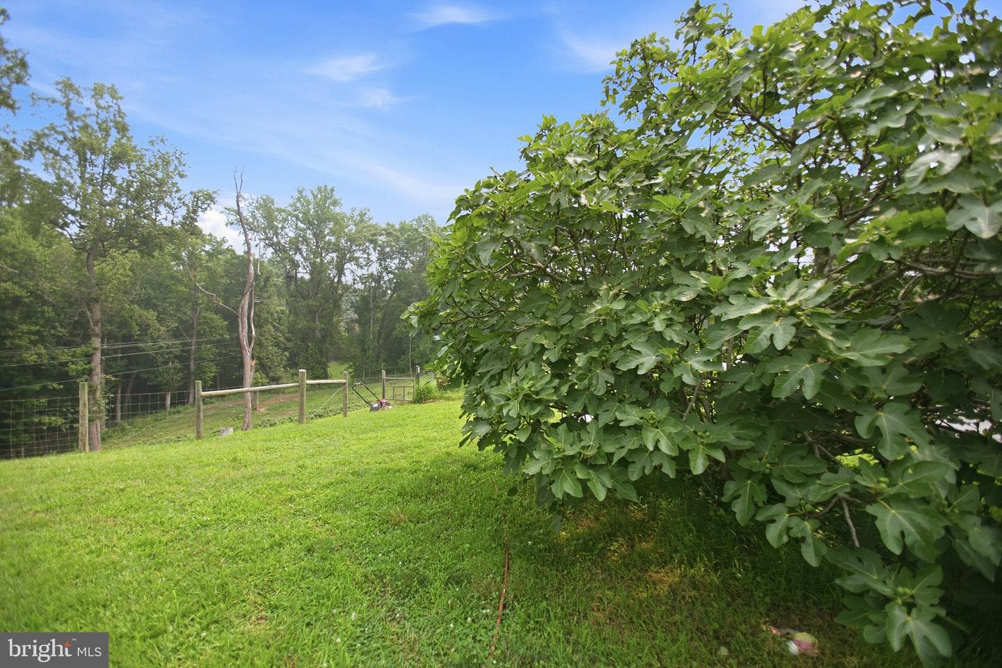 2137 Belvedere Drive photo 77
