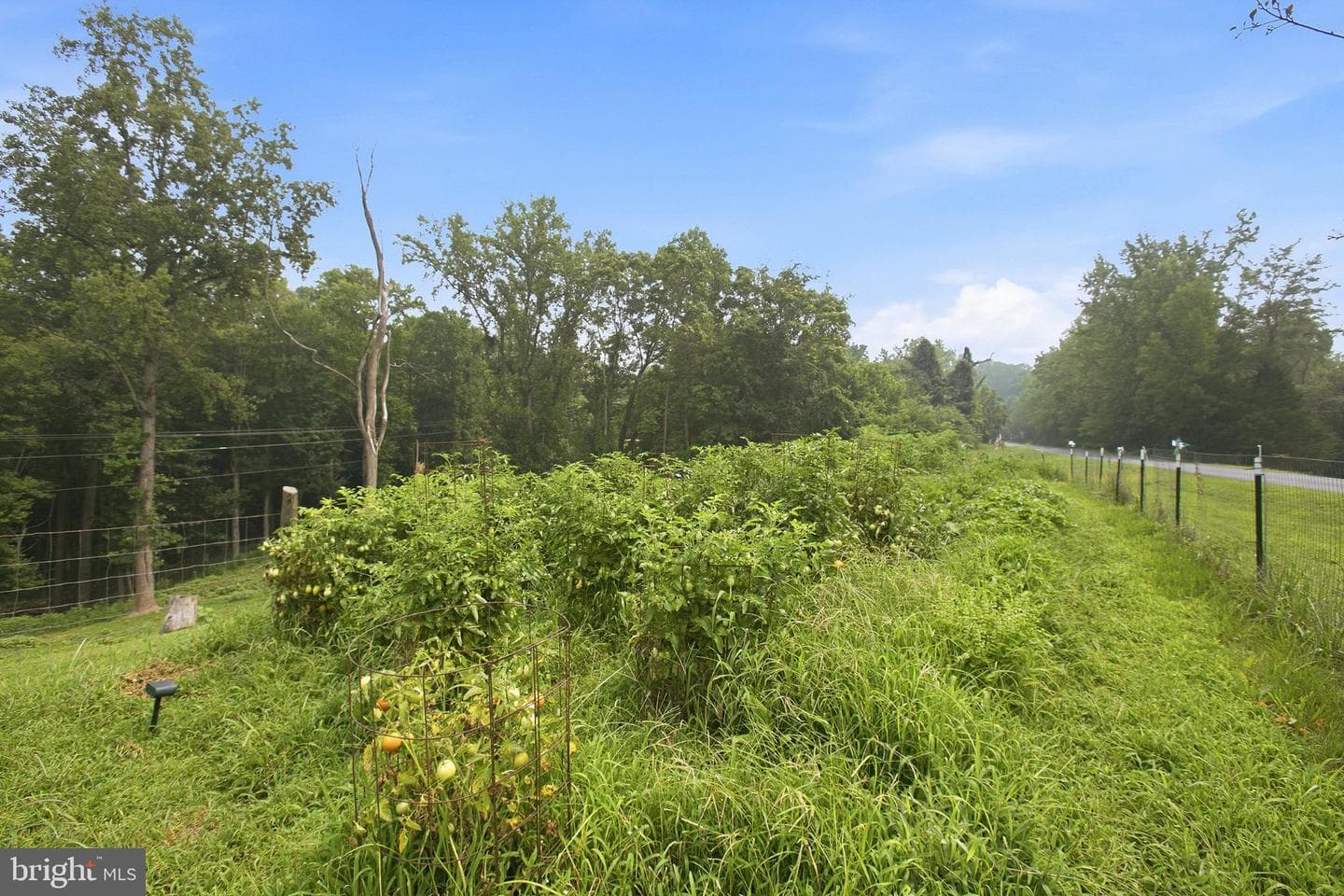 2137 Belvedere Drive photo 79