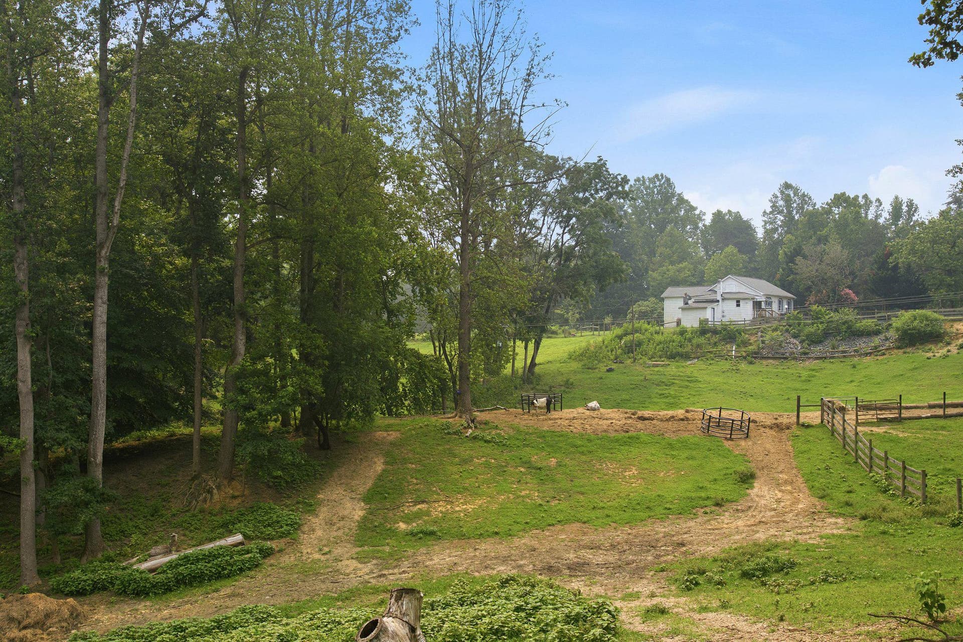 2137 Belvedere Drive photo 80