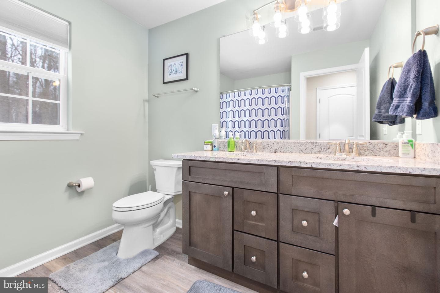 10437 Blair House Circle photo 52