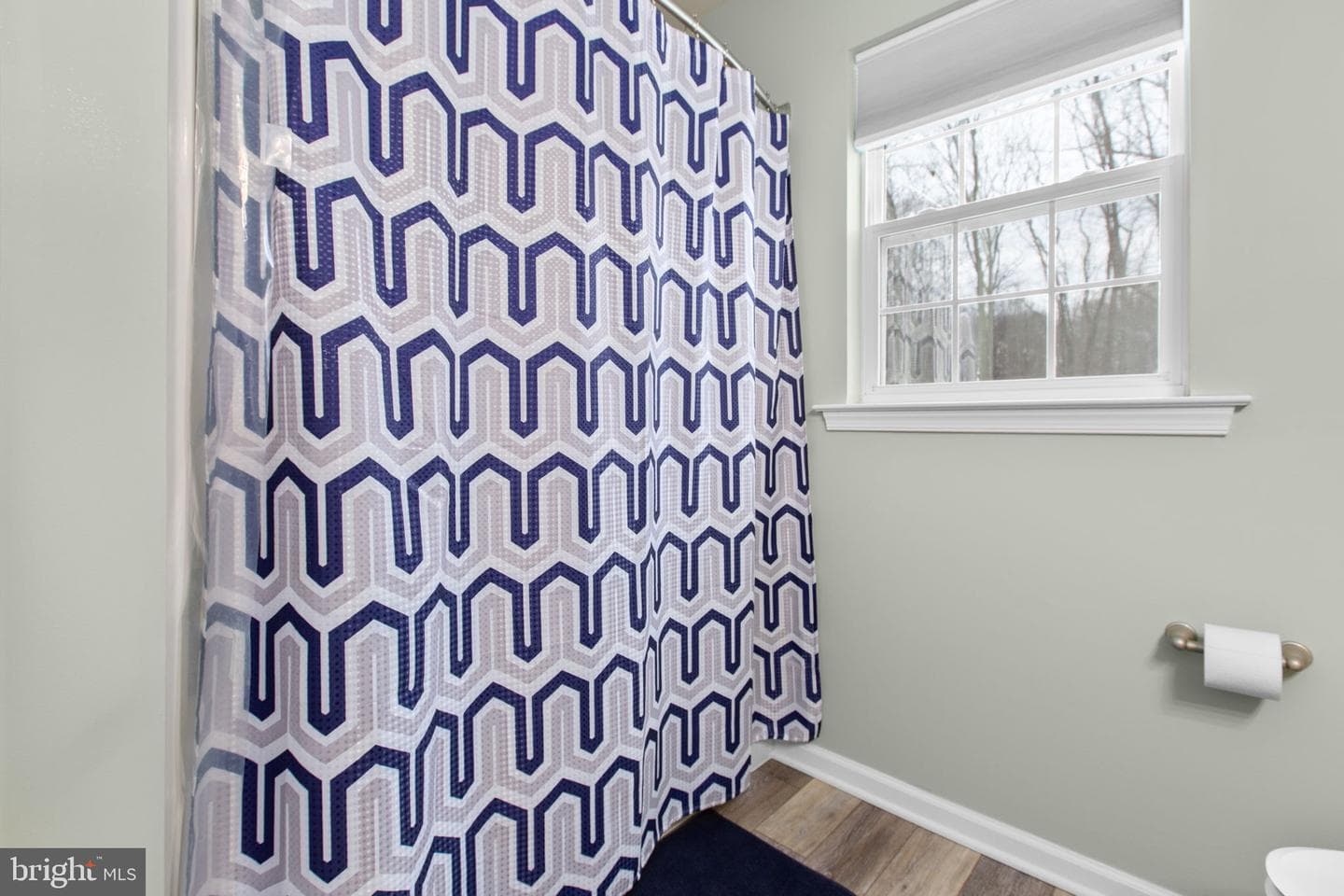 10437 Blair House Circle photo 53