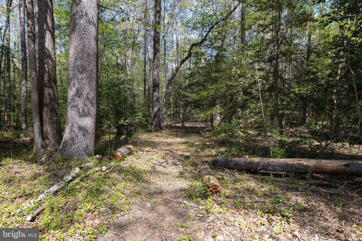 170 Faucetts Road photo 42