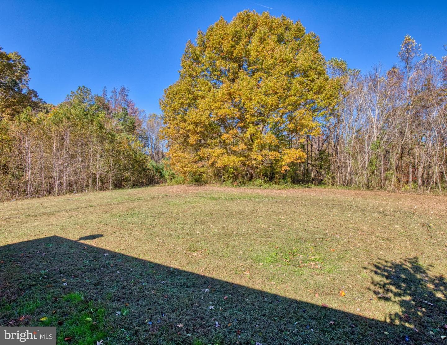 20787 The Trail photo 39