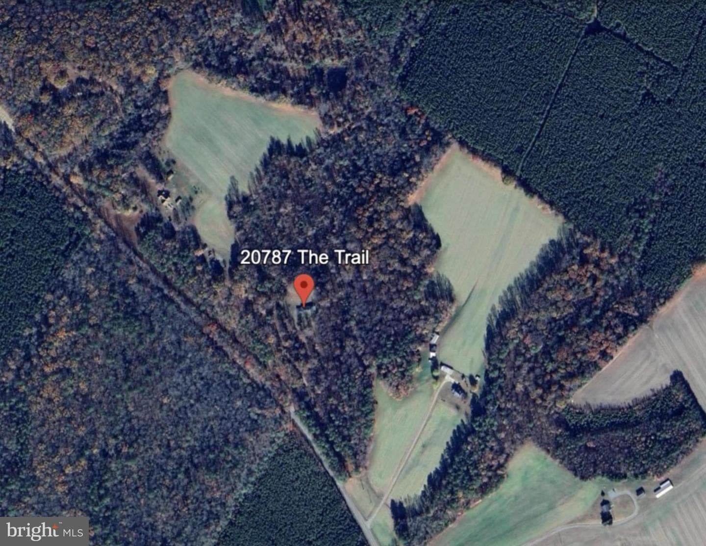 20787 The Trail photo 5