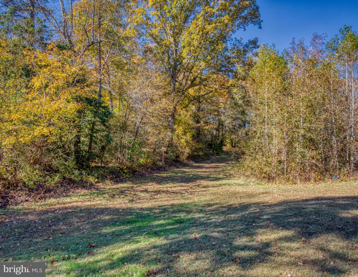 20787 The Trail photo 8