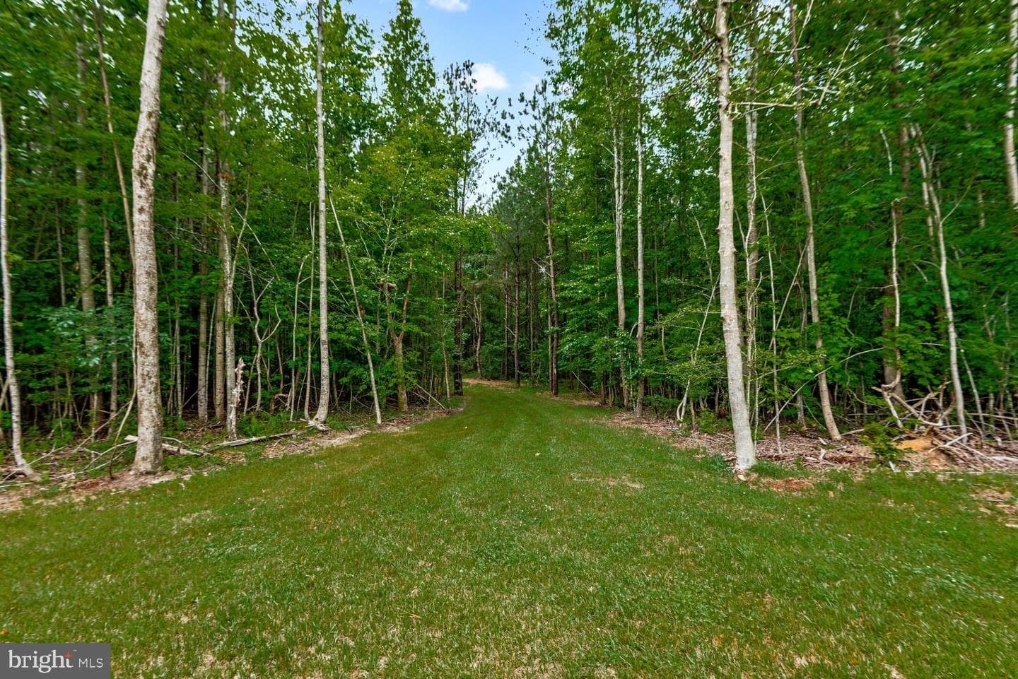 568 Reed Bridge Farm Road photo 23