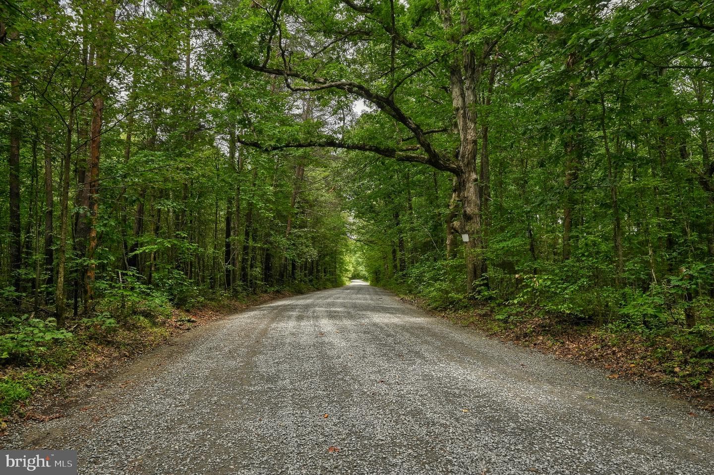 104 Privacy Road photo 68
