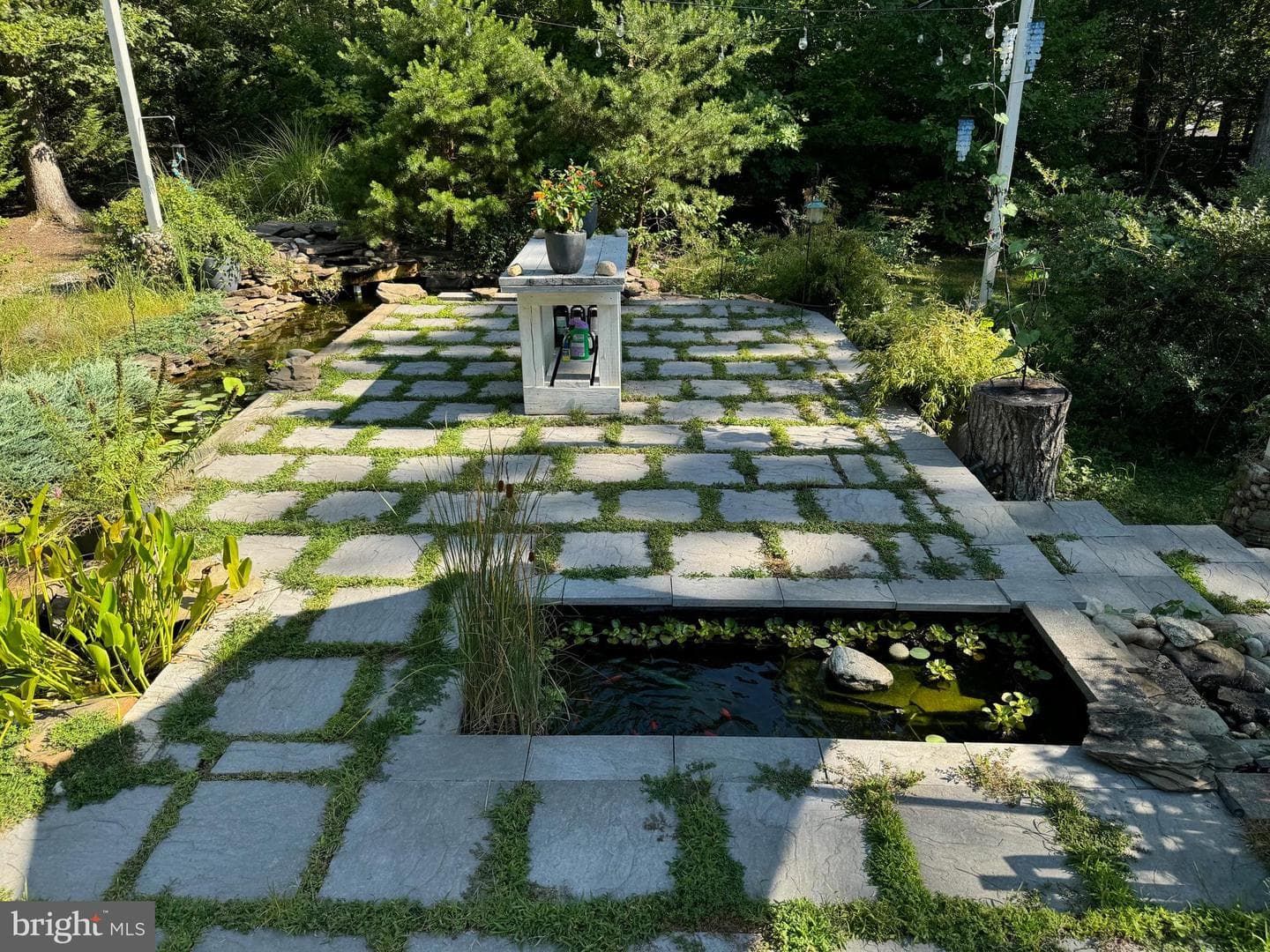 106 Mitchell Point Road photo 5