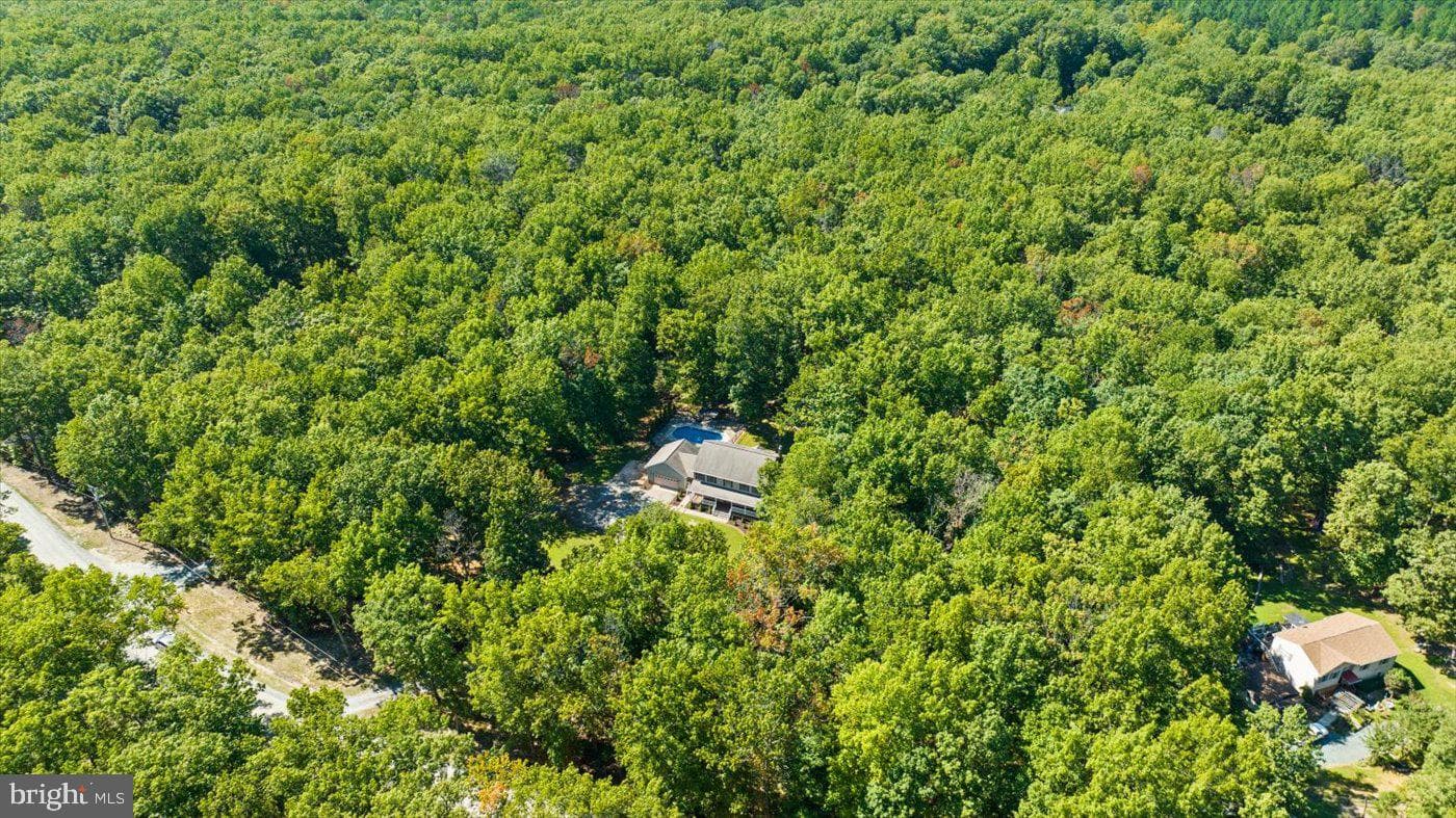 311 Spring Hill Drive photo 84
