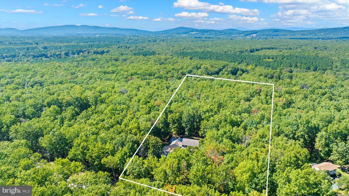 311 Spring Hill Drive photo 88