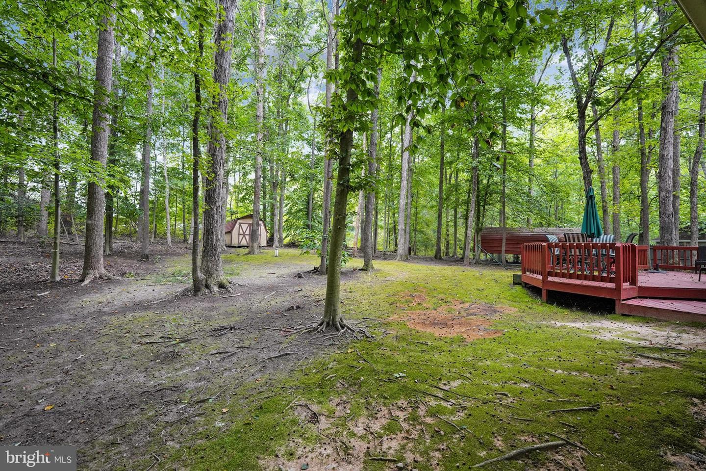 170 Oak Road photo 30