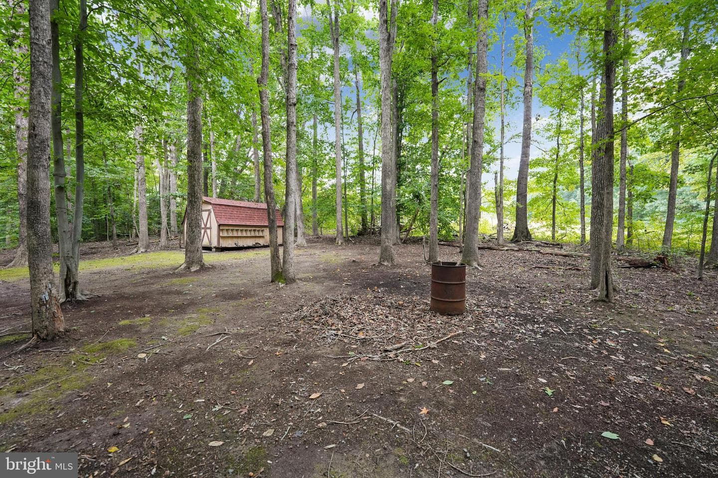 170 Oak Road photo 32