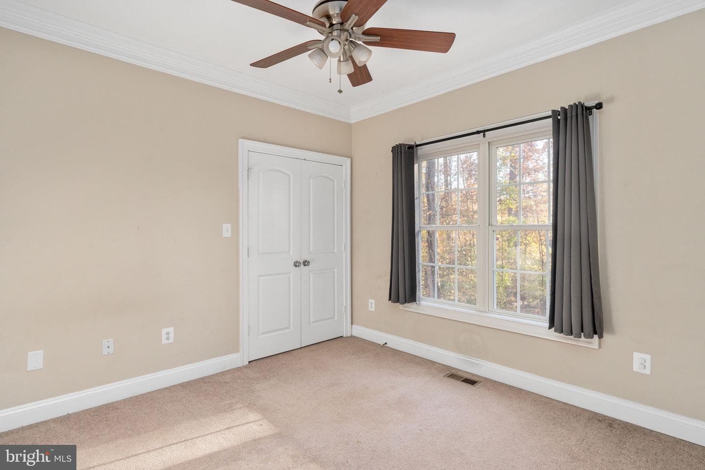 139 Oak Haven Drive photo 22