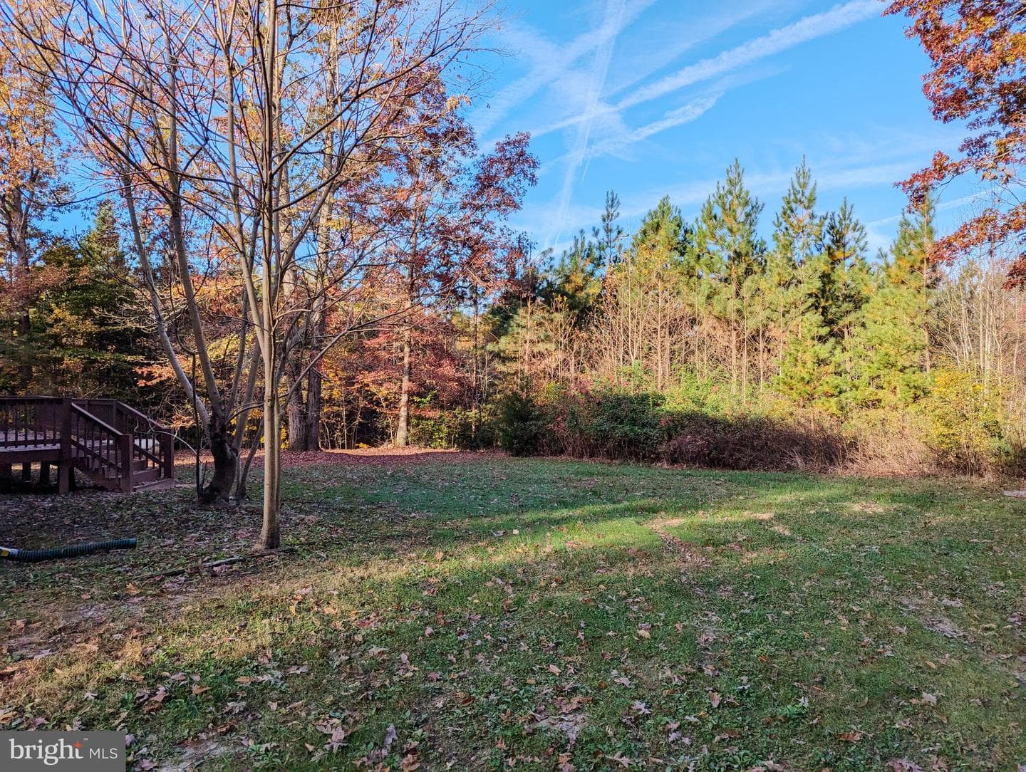 7307 Courthouse Road photo 5