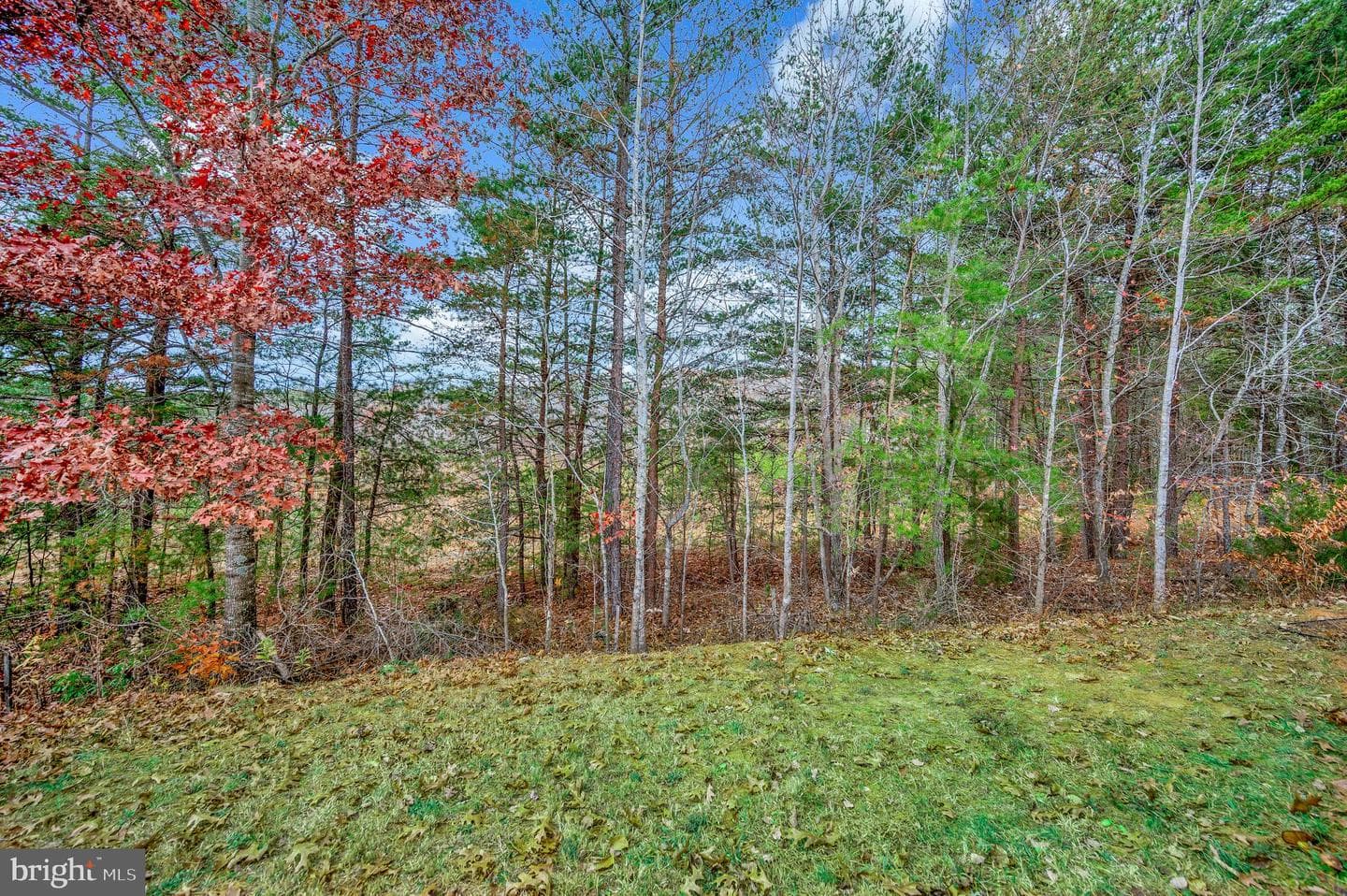 203 Bibb St photo 7