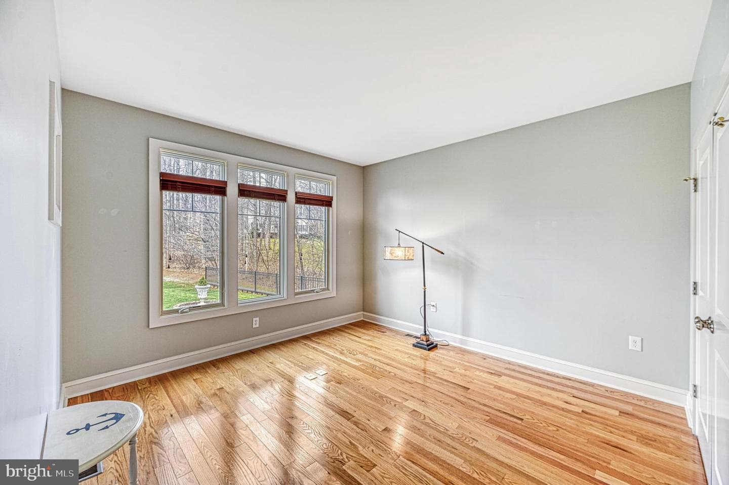 241 William Street photo 6