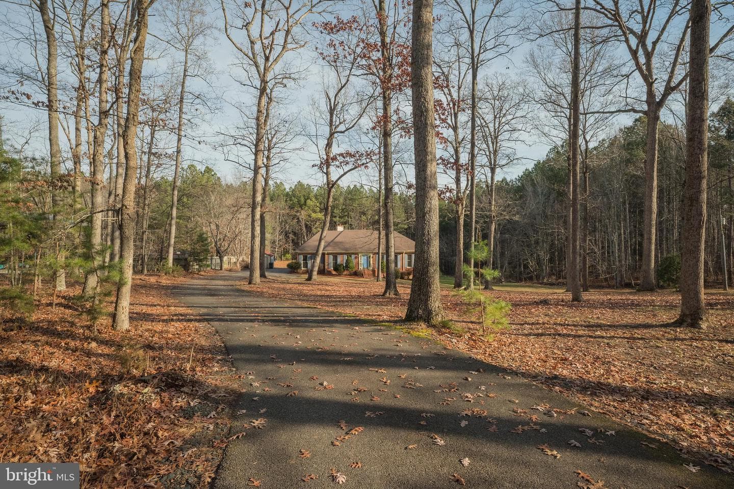 4231 Campbell Road photo 54