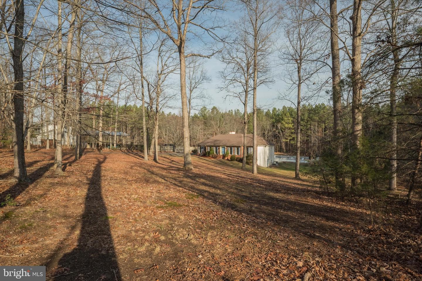 4231 Campbell Road photo 55