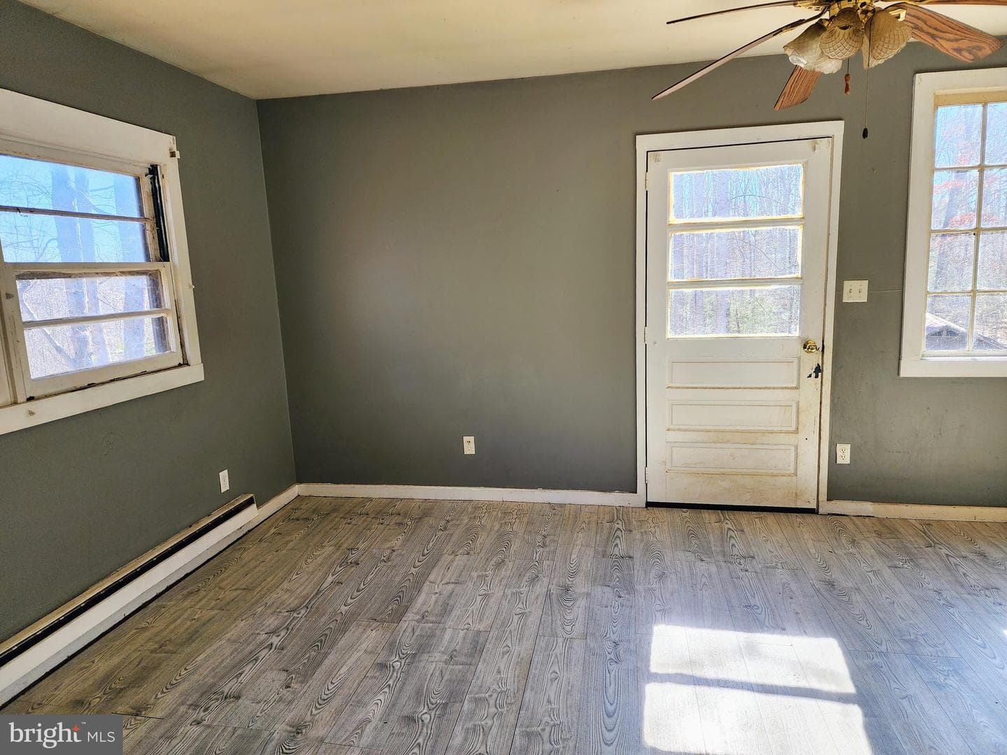 354 Carpenter Lane photo 20