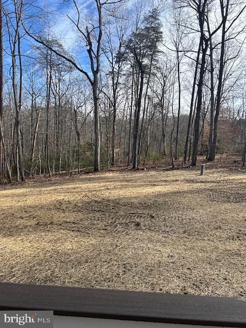 319 Pine Harbour photo 23