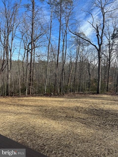319 Pine Harbour photo 5