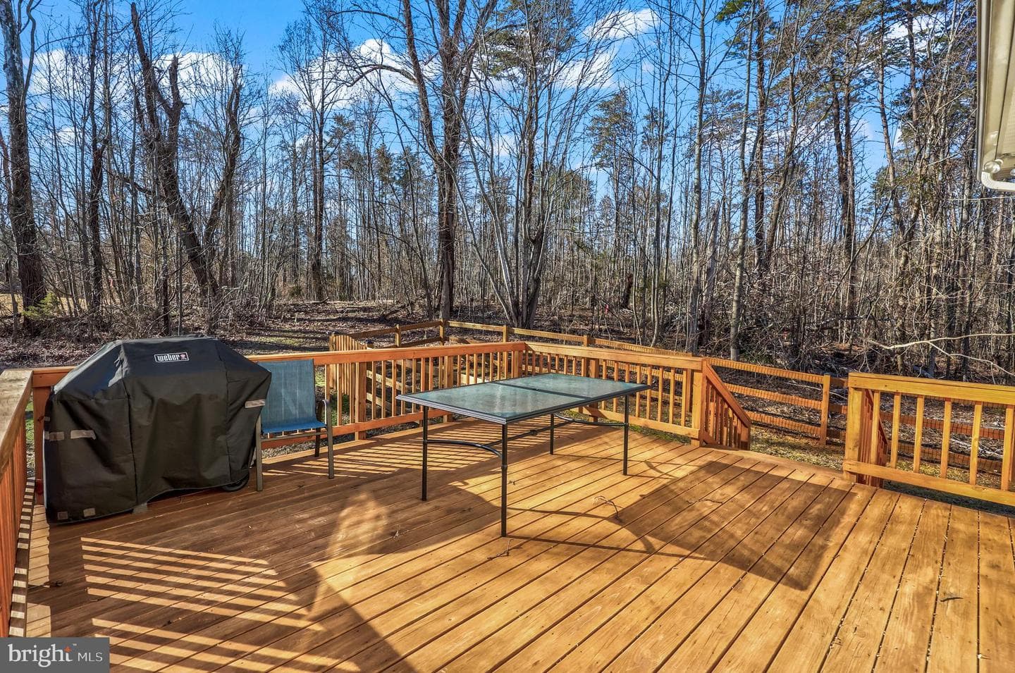 34 Shady Oaks Lane photo 51