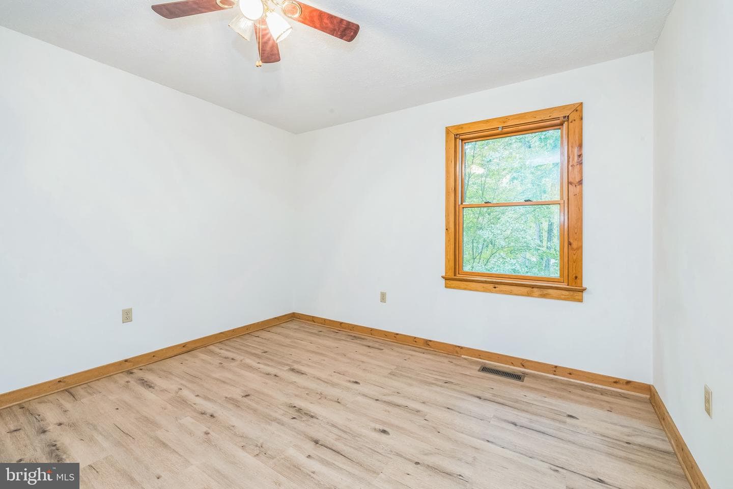 340 Wilson Street photo 11
