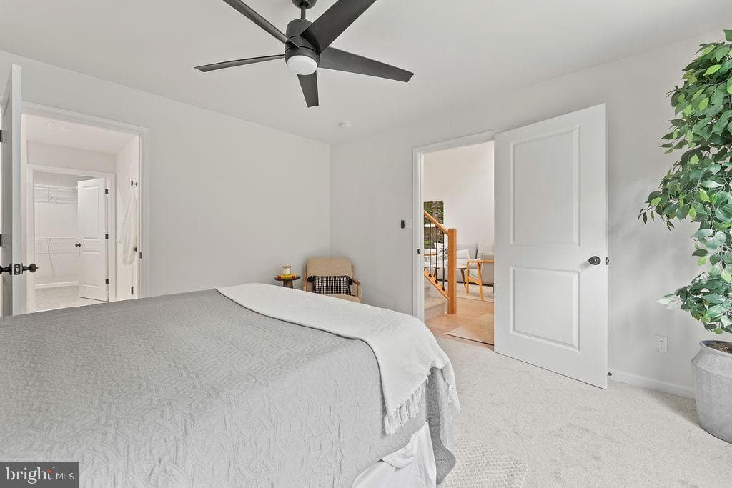 228 Poplar Drive photo 20