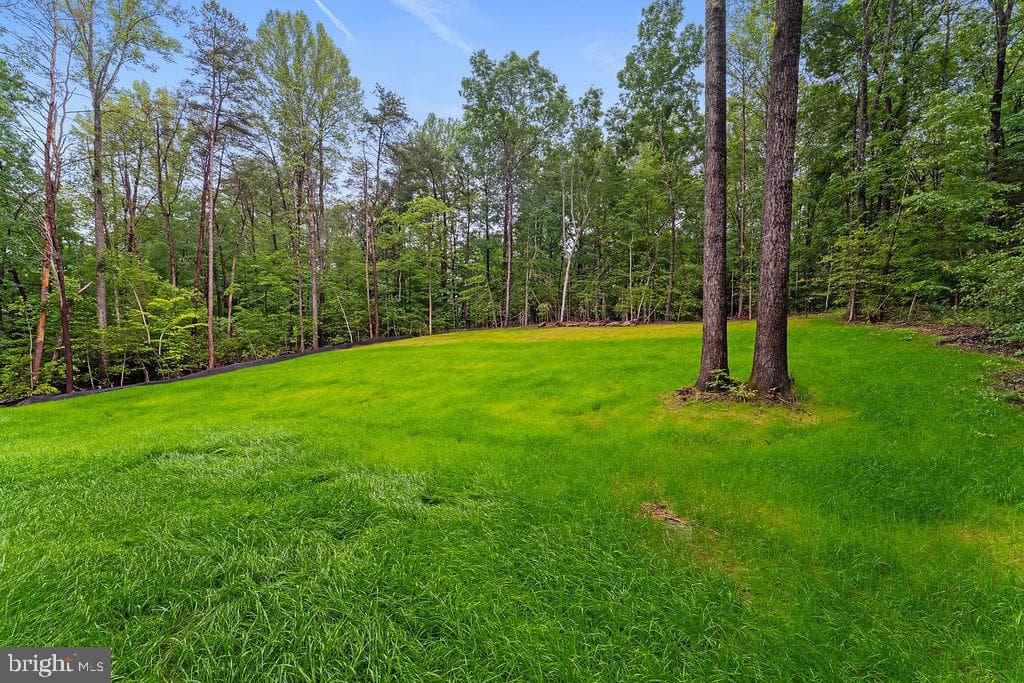 228 Poplar Drive photo 40