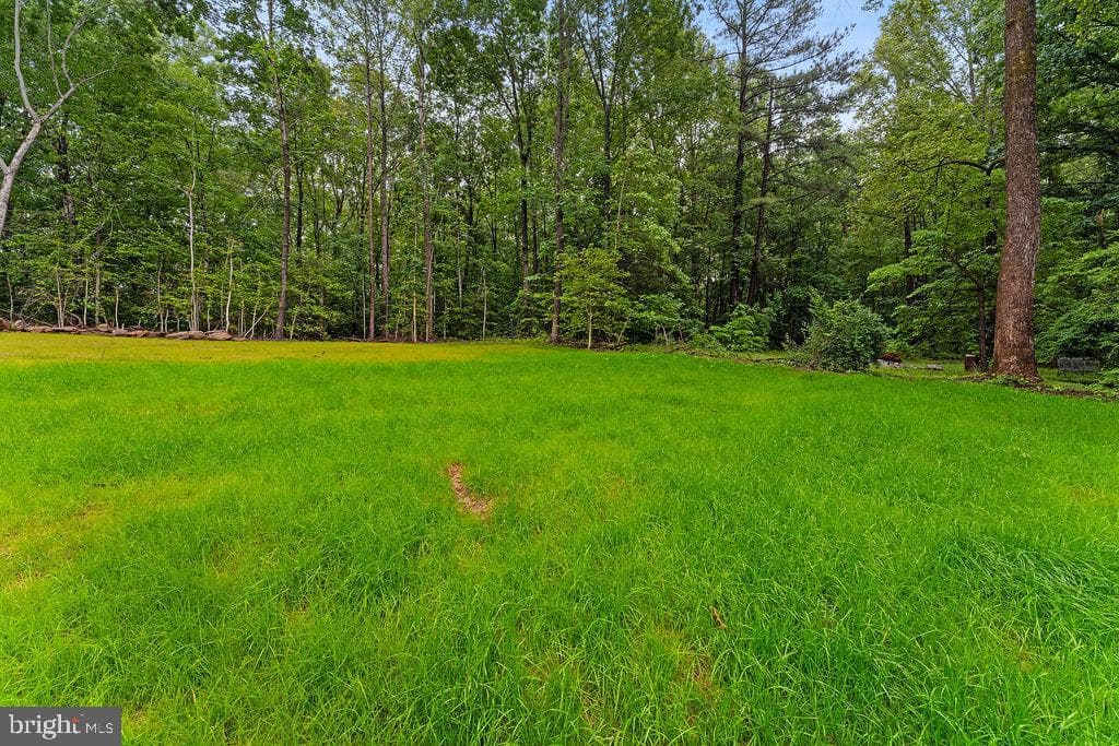 228 Poplar Drive photo 44