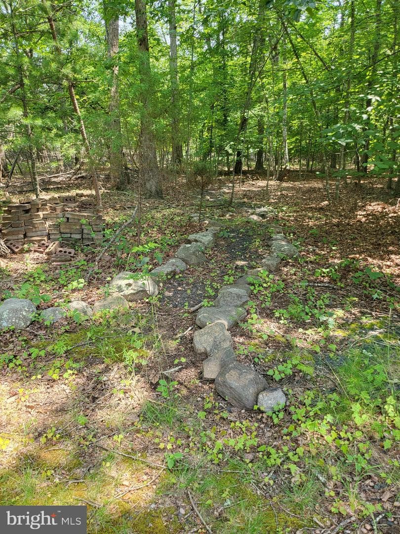 338 Meadow Ridge Road photo 17