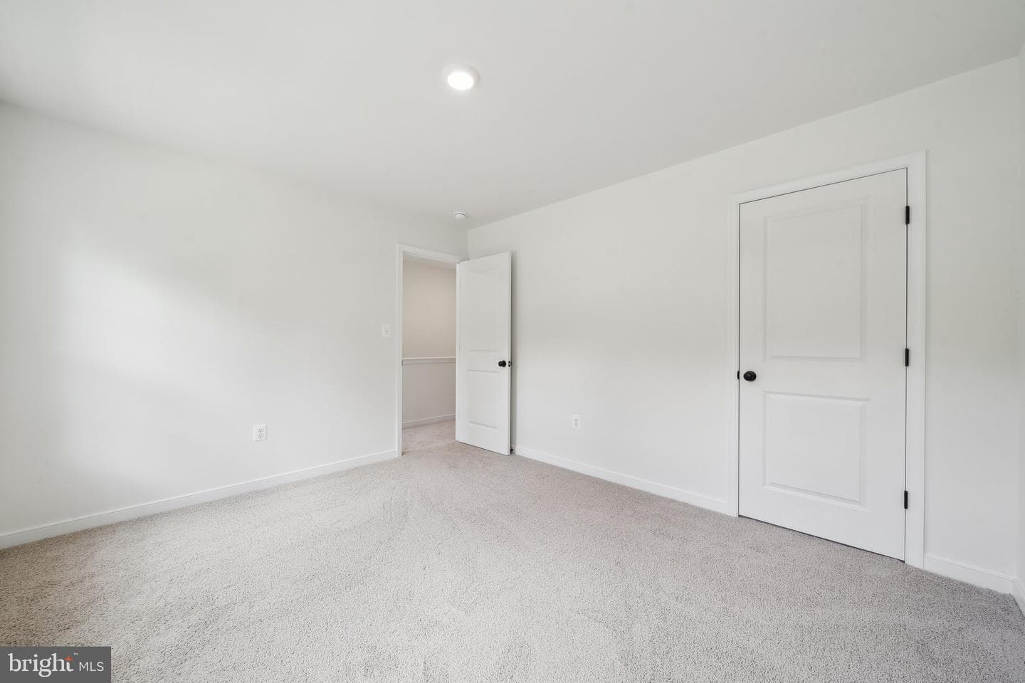 405 Richmond Avenue photo 21