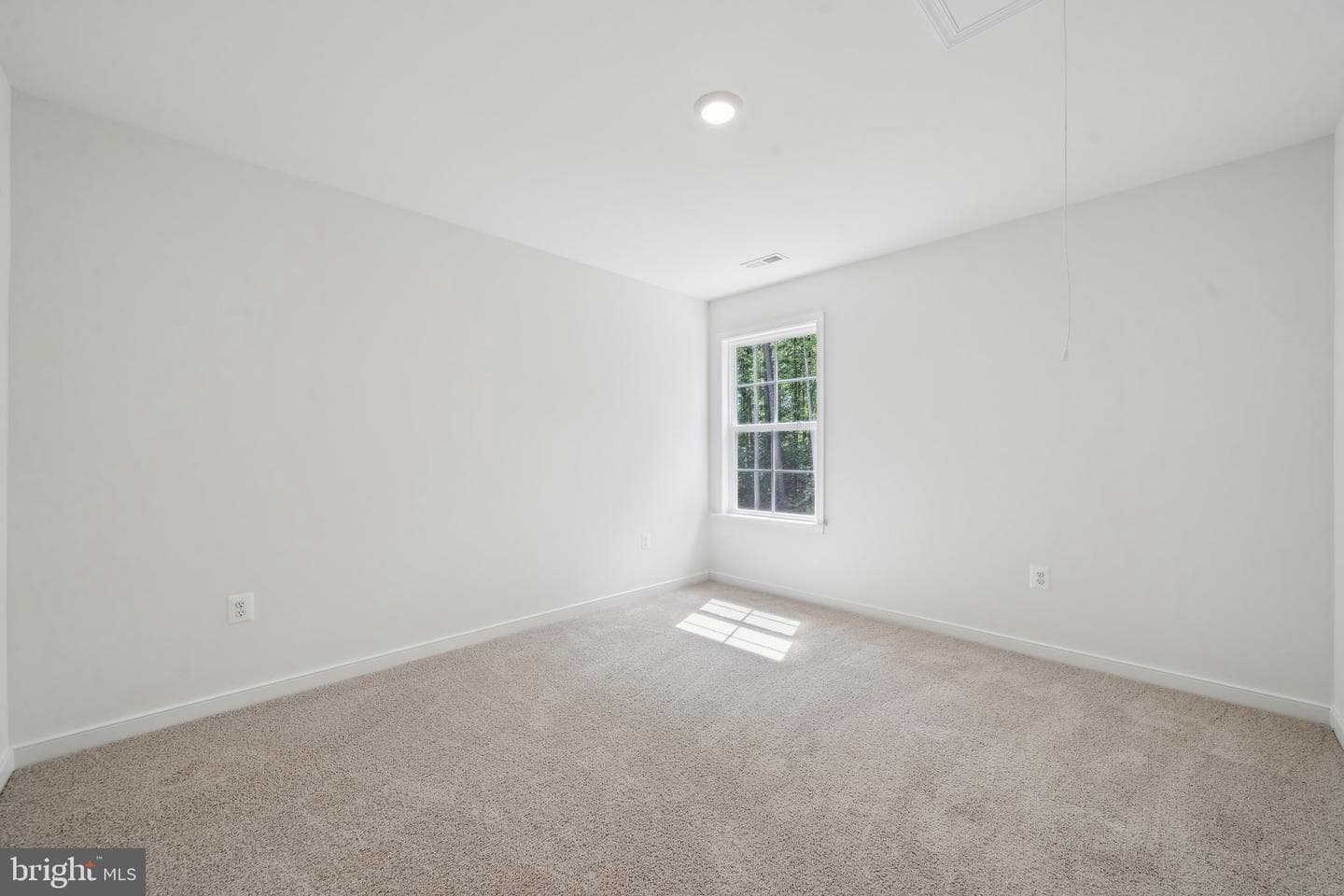 405 Richmond Avenue photo 23