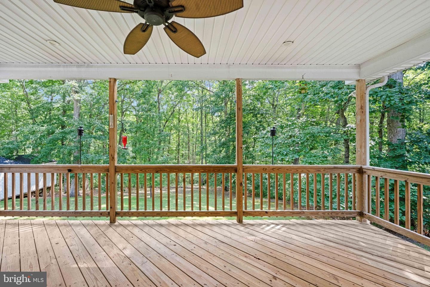 238 David Road photo 27