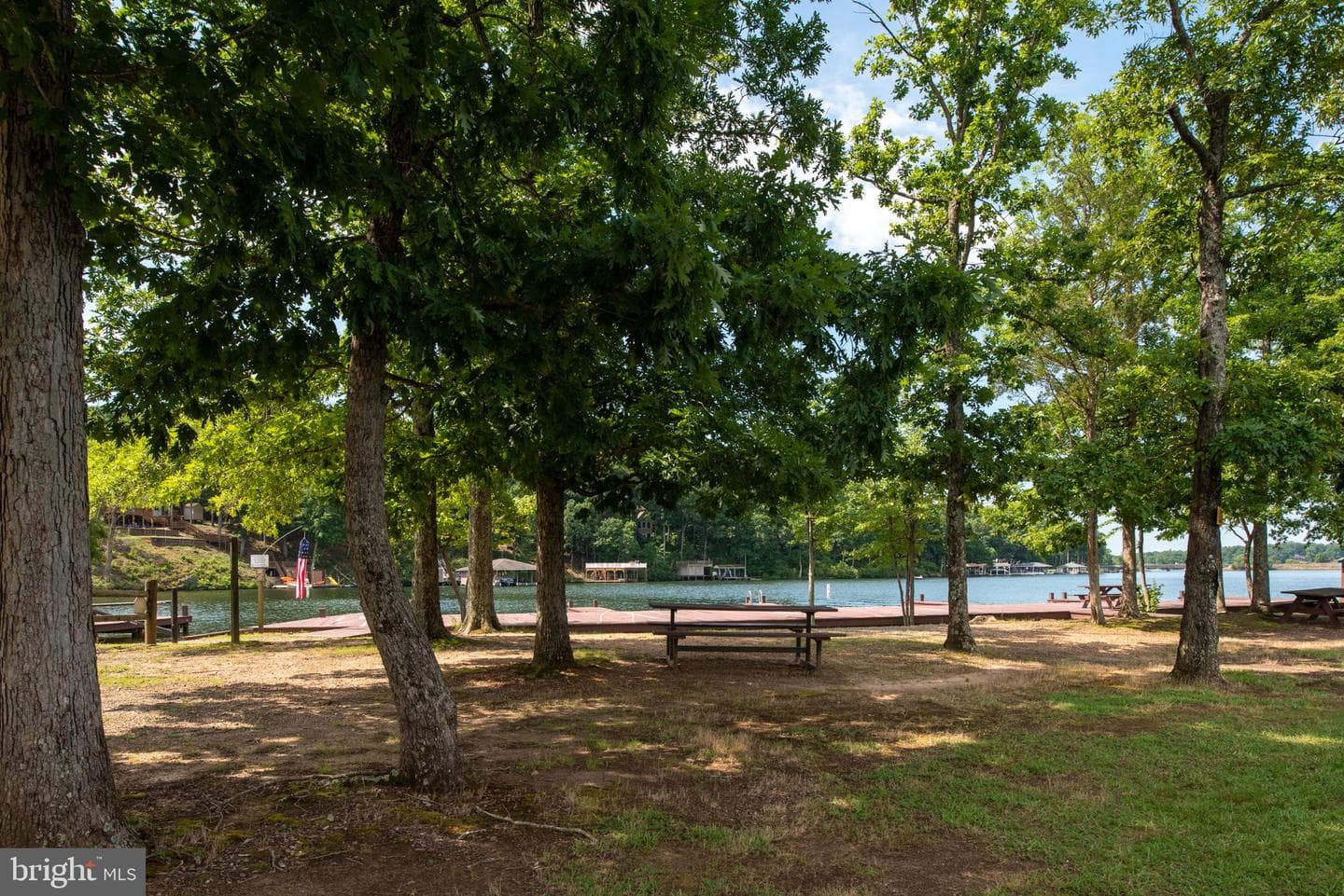 238 David Road photo 67