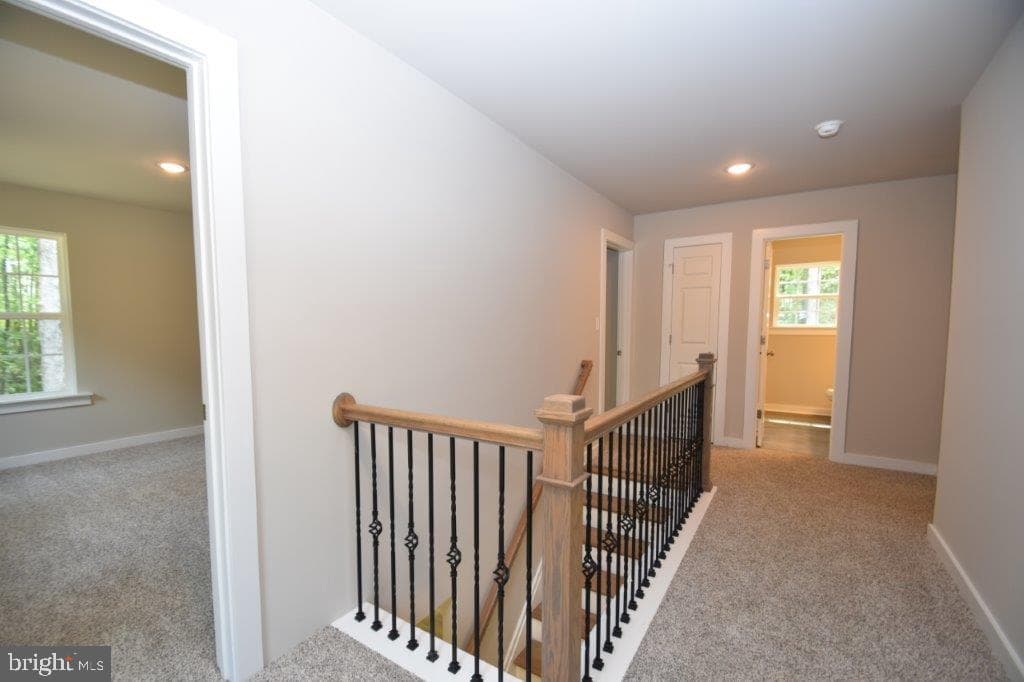 Lot 5 Atkinson Road photo 24