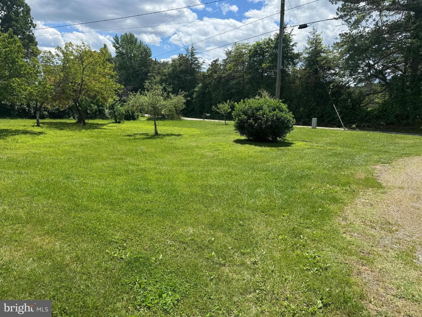 3490 Willow Brook Road photo 10