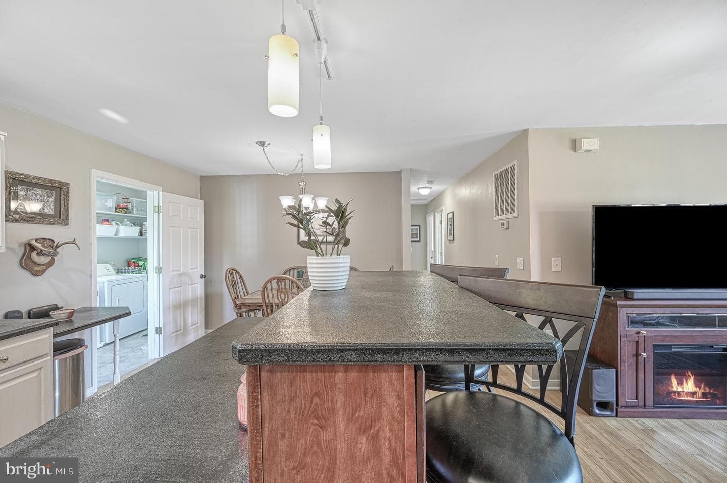 193 Mountain View photo 10