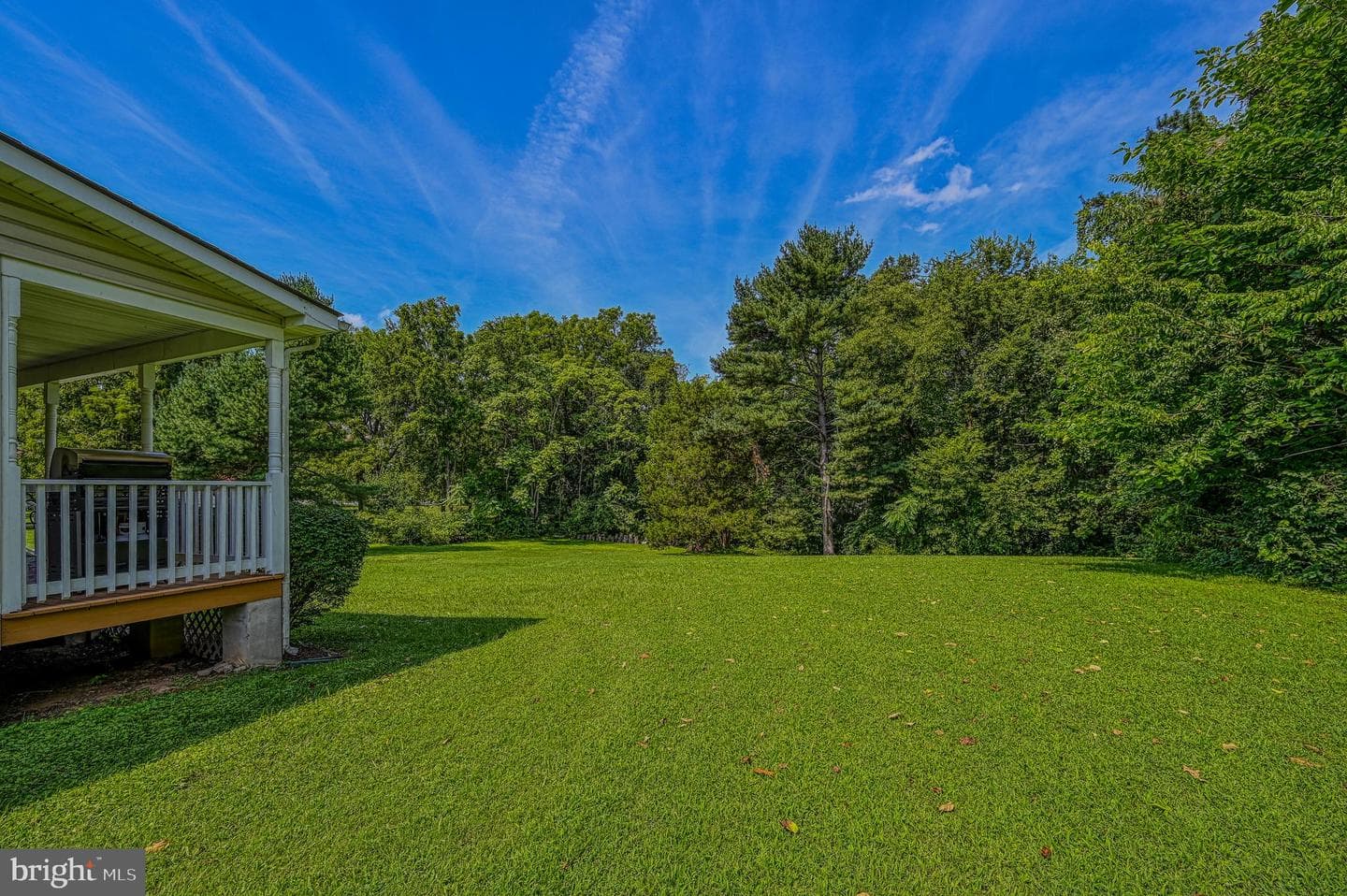 193 Mountain View photo 31