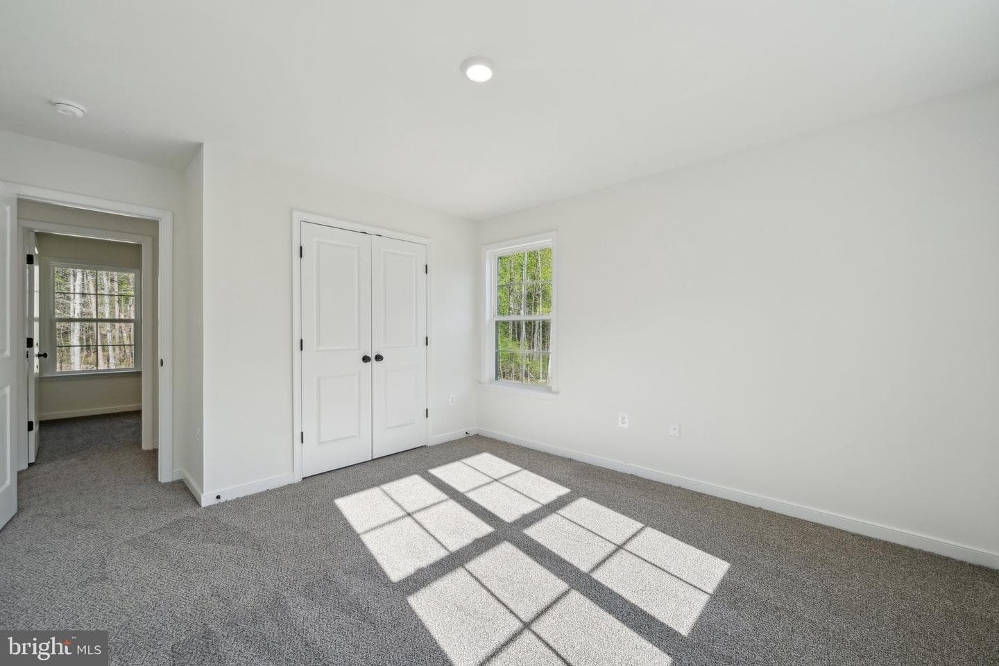 407 Richmond Avenue photo 6