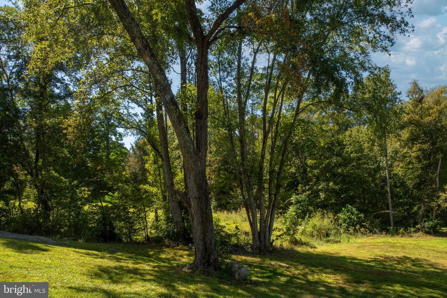 159 Plateau Road photo 116
