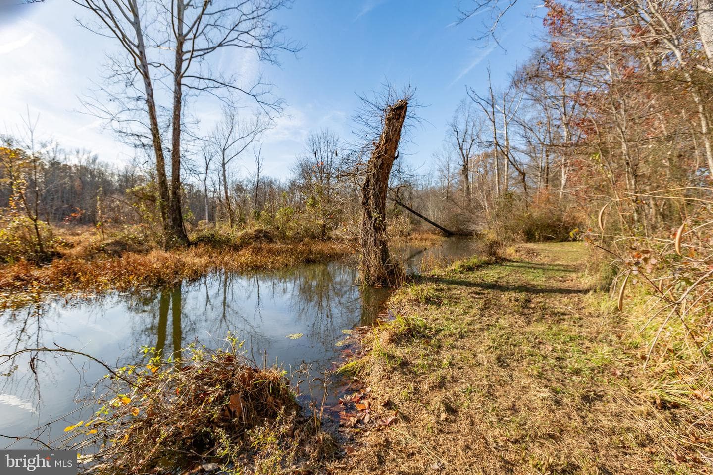 81 Leyland Farms Drive photo 29