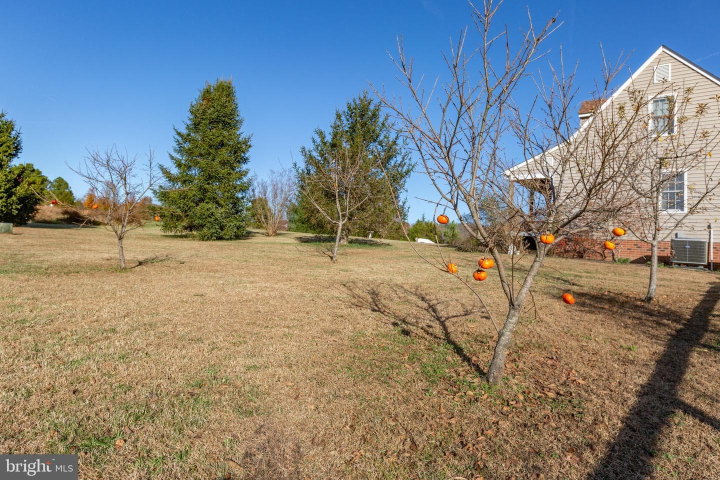 81 Leyland Farms Drive photo 40