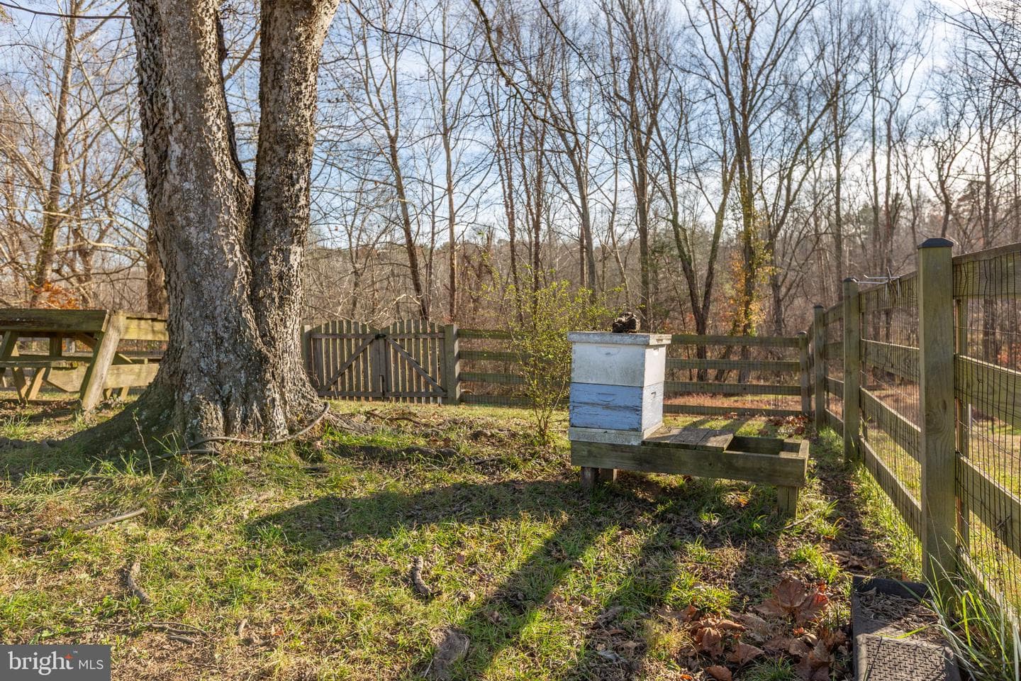 81 Leyland Farms Drive photo 48