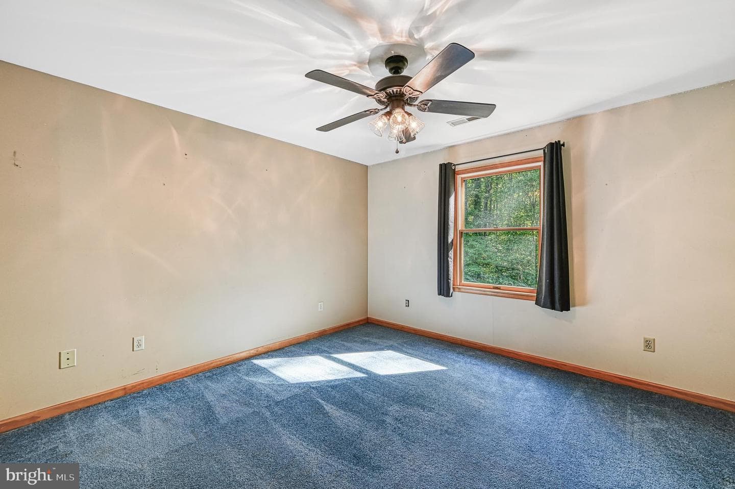 1270 Kennon Road photo 36